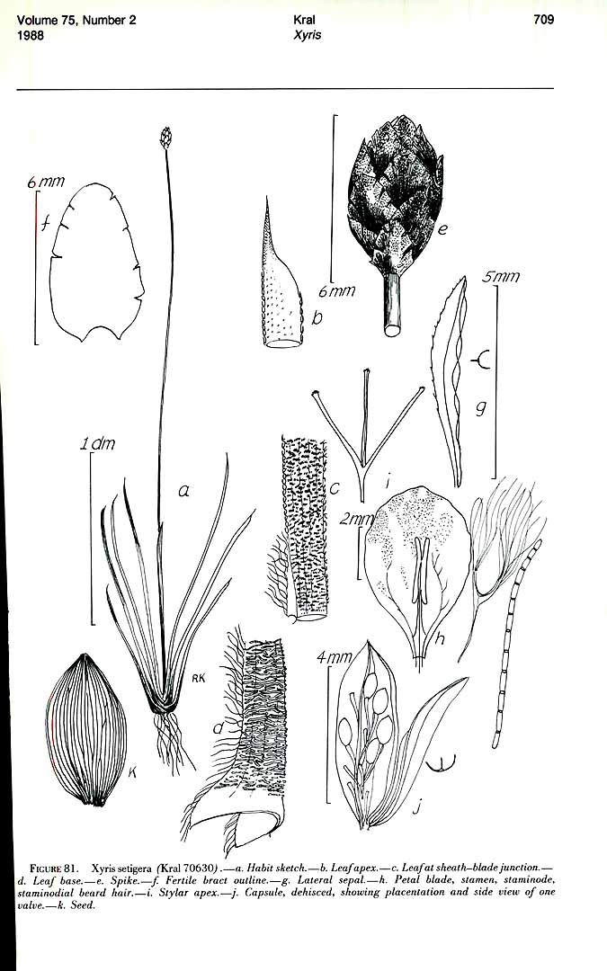 no HD illustration available (m5)