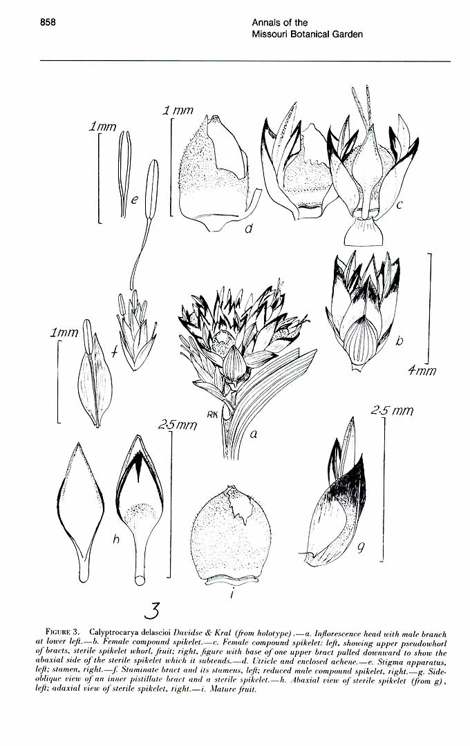 no HD illustration available (m5)