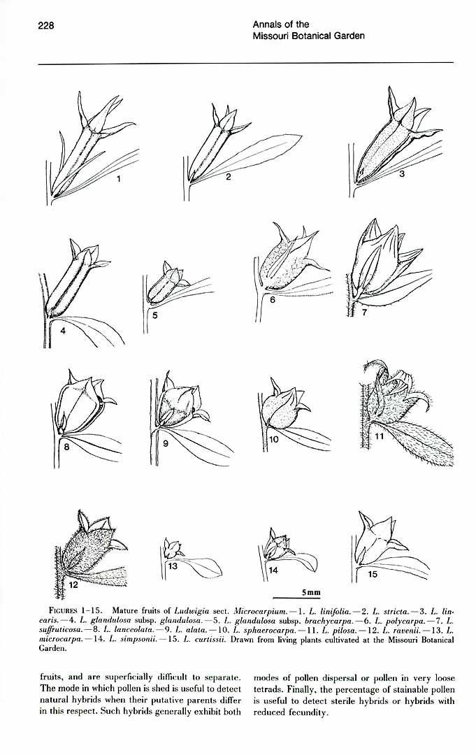 no HD illustration available (m5)