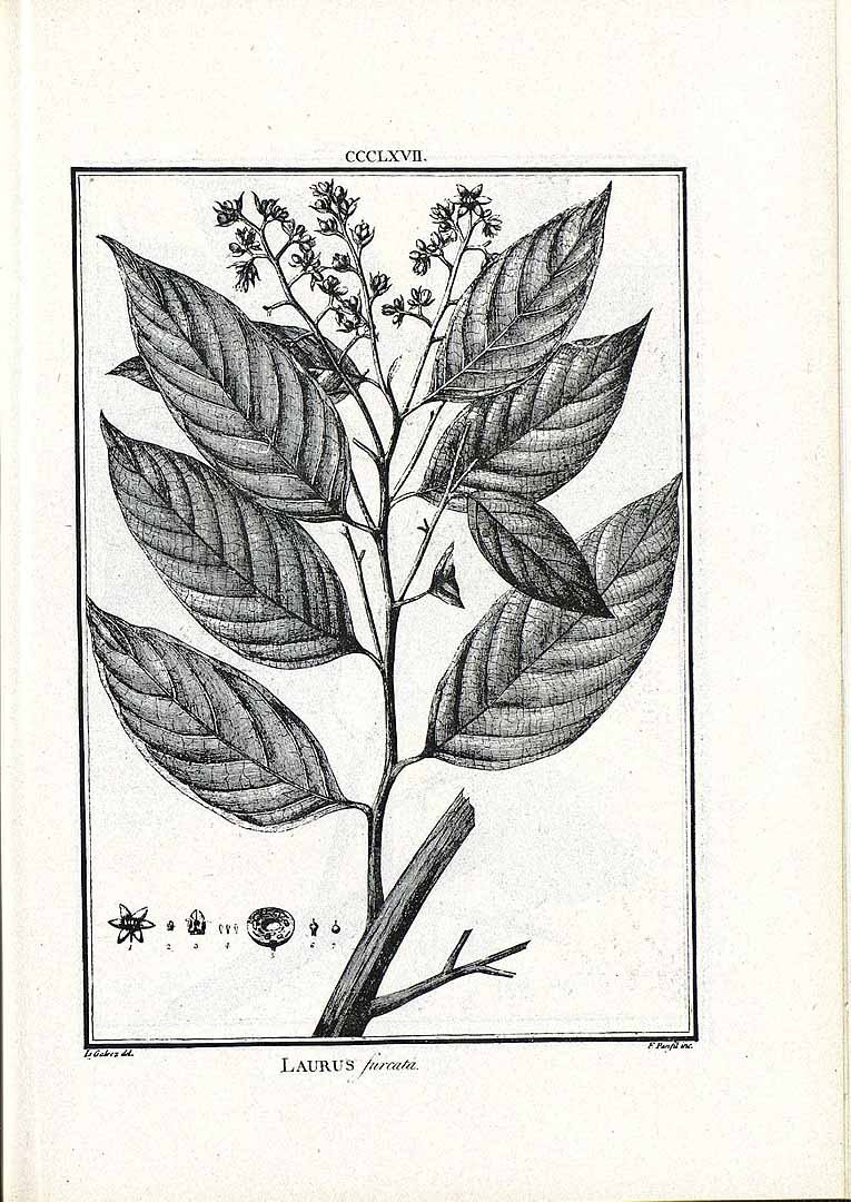 no HD illustration available (m5)