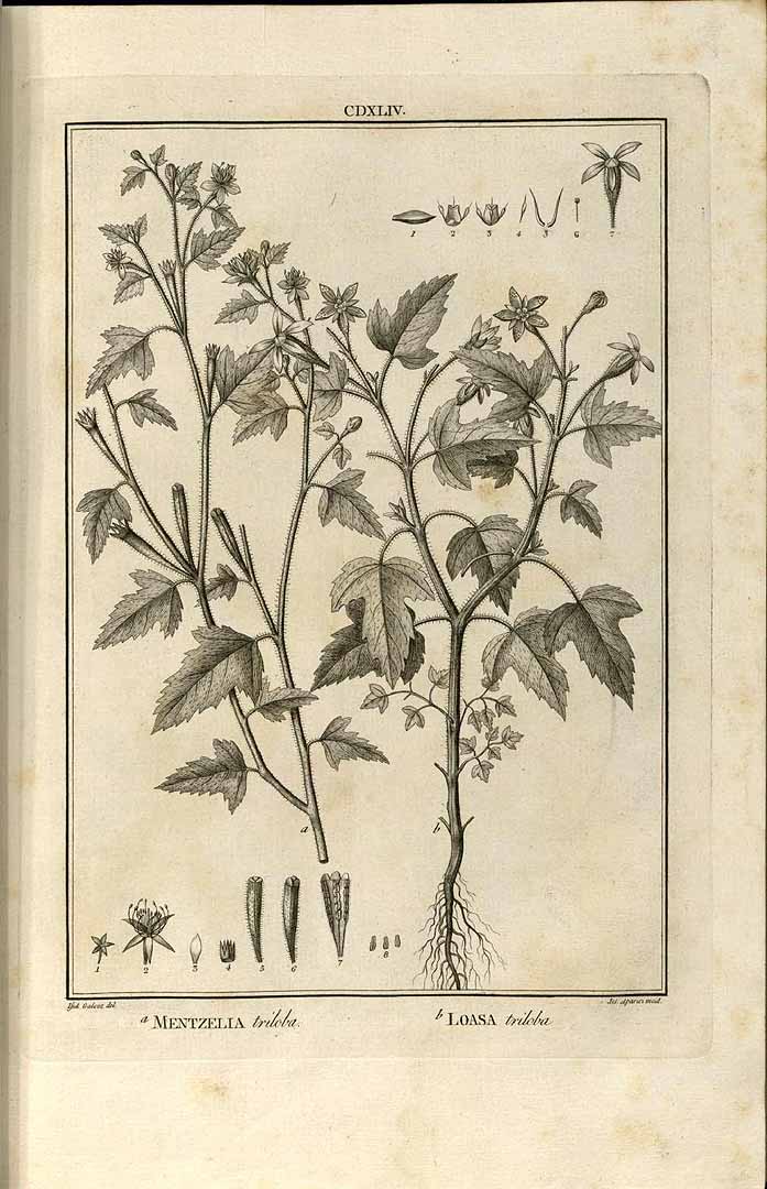 no HD illustration available (m5)