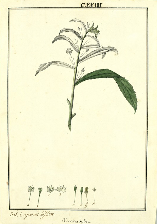 no HD illustration available (m5)