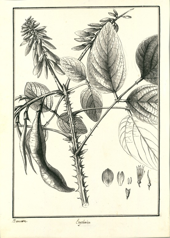 no HD illustration available (m5)