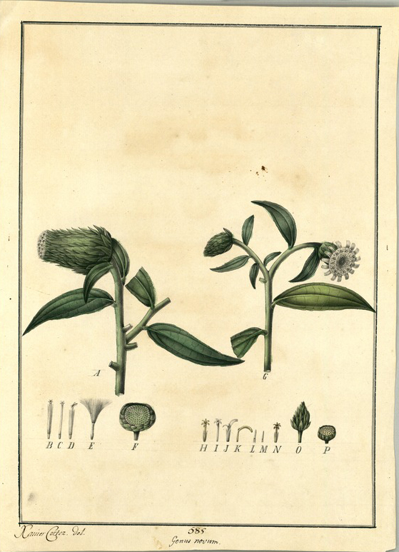 no HD illustration available (m5)
