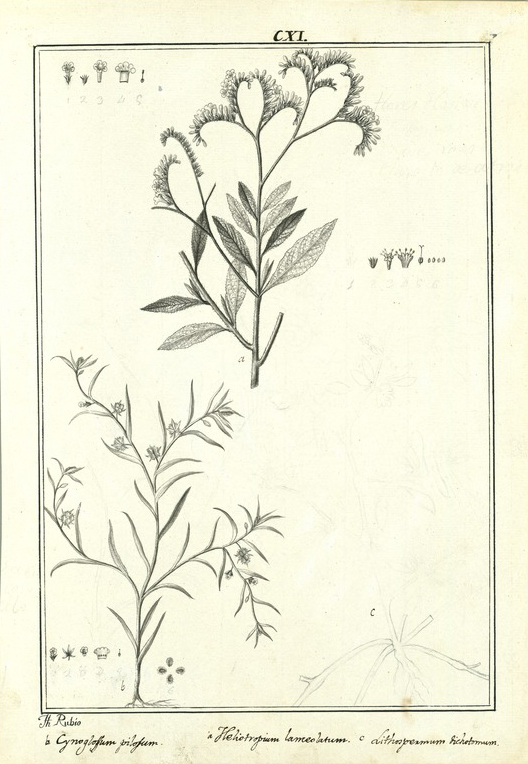 no HD illustration available (m5)