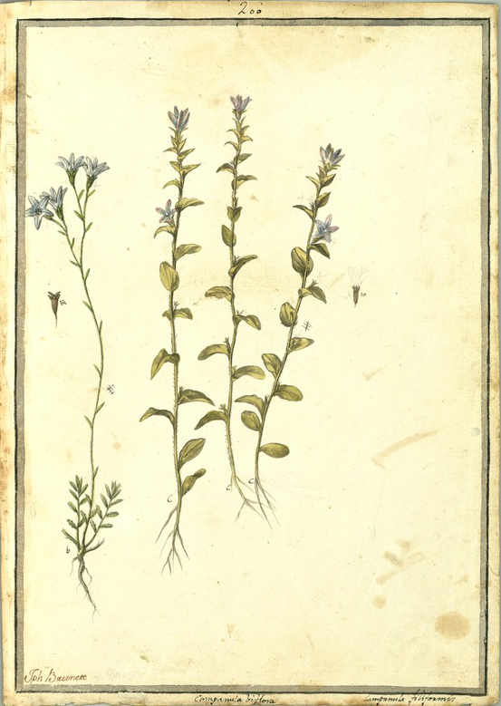 no HD illustration available (m5)