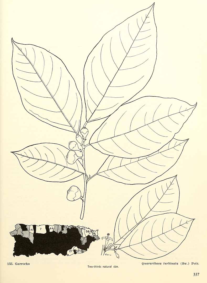 no HD illustration available (m5)