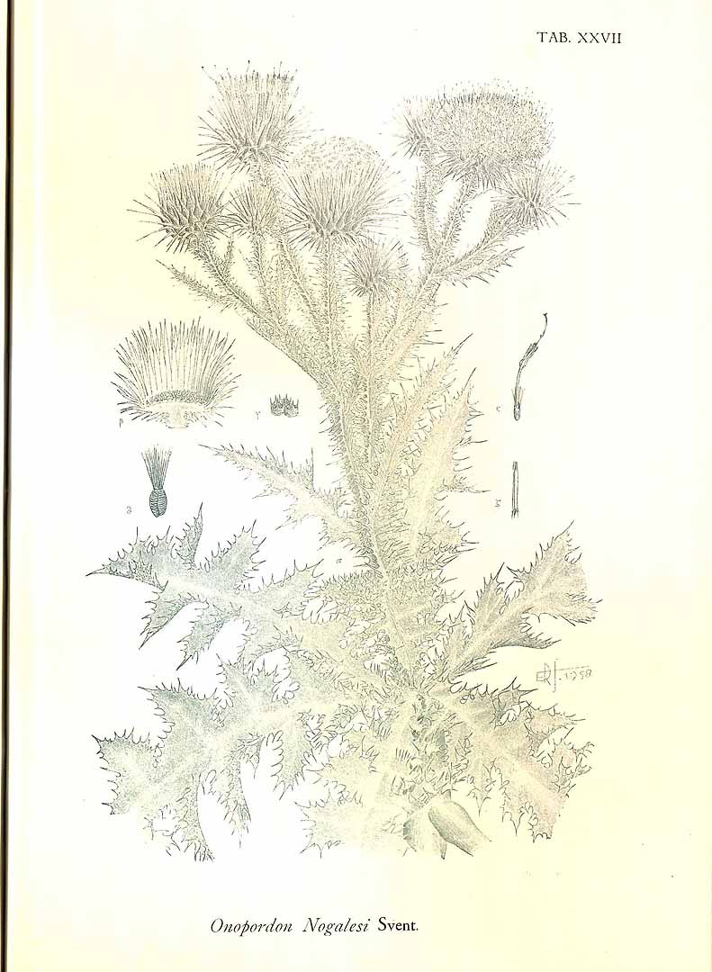 no HD illustration available (m5)