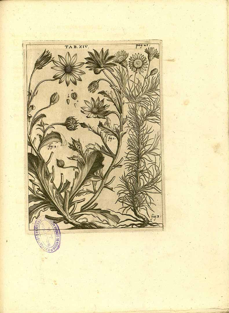 no HD illustration available (m5)