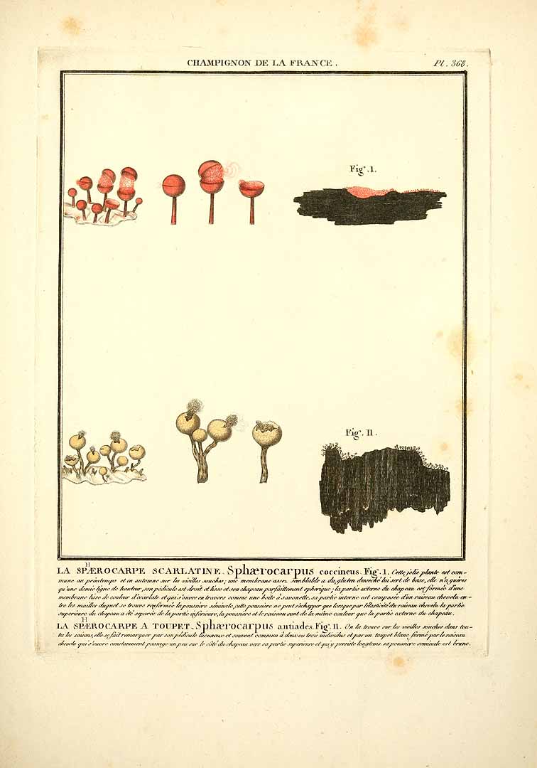 no HD illustration available (m5)