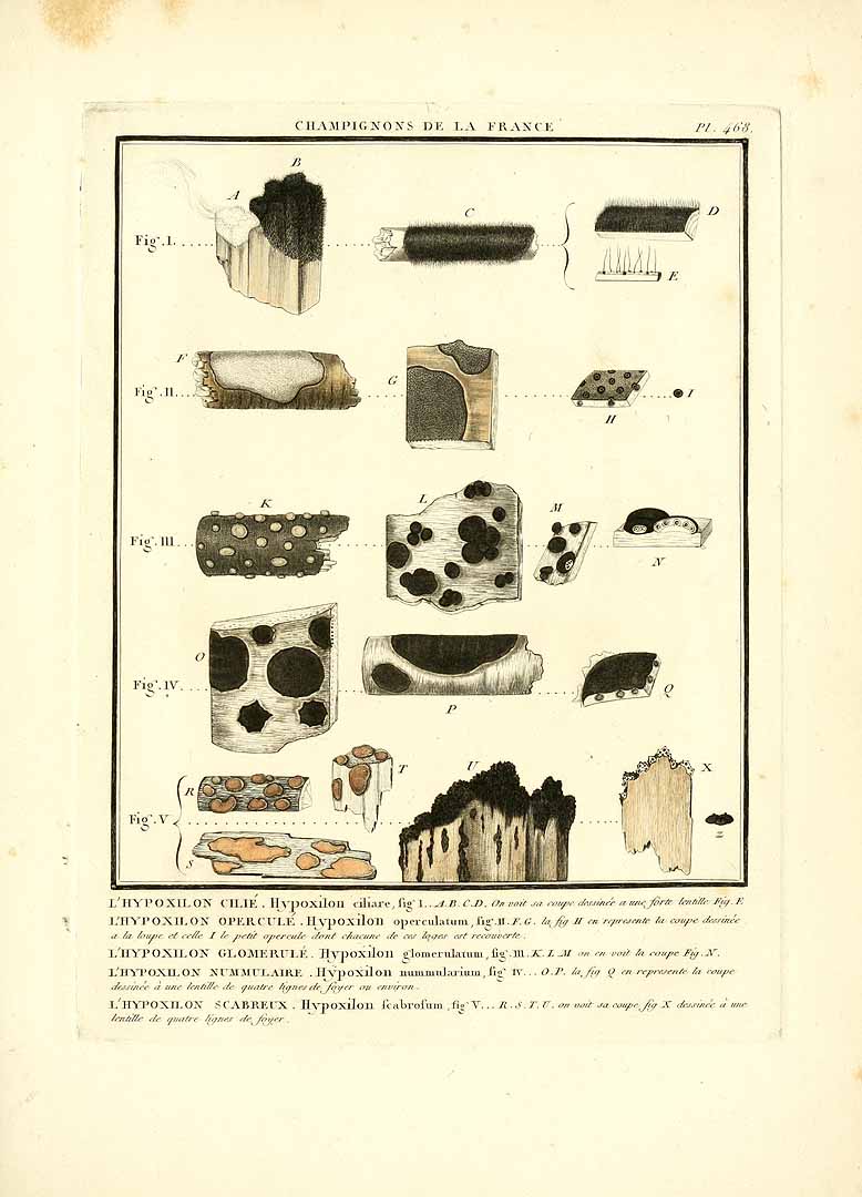 no HD illustration available (m5)