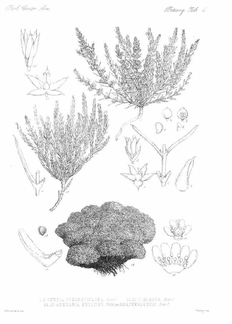 no HD illustration available (m5)