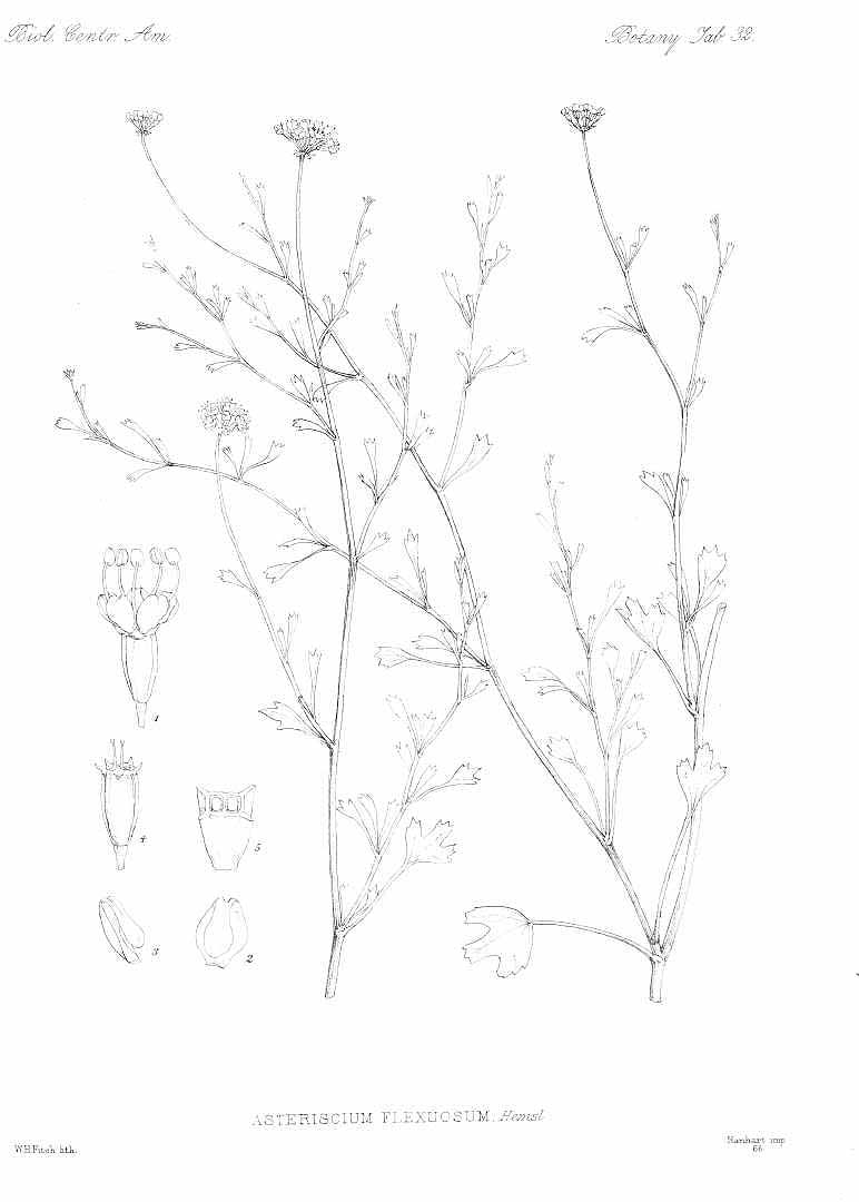 no HD illustration available (m5)