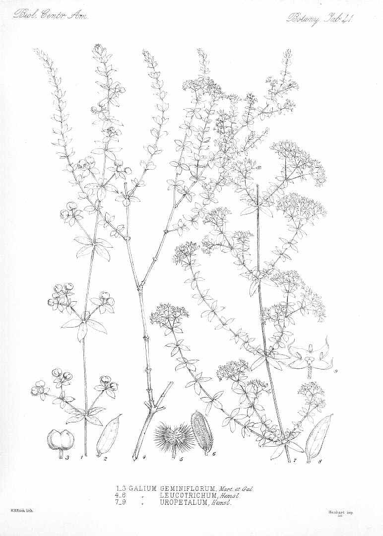 no HD illustration available (m5)