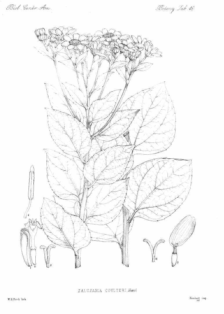 no HD illustration available (m5)