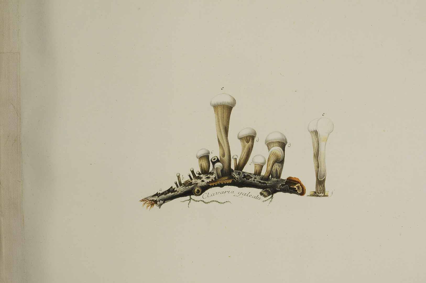 no HD illustration available (m5)