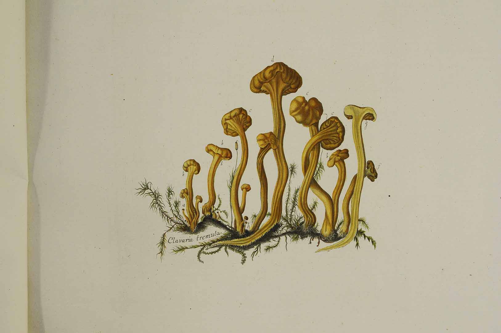 no HD illustration available (m5)