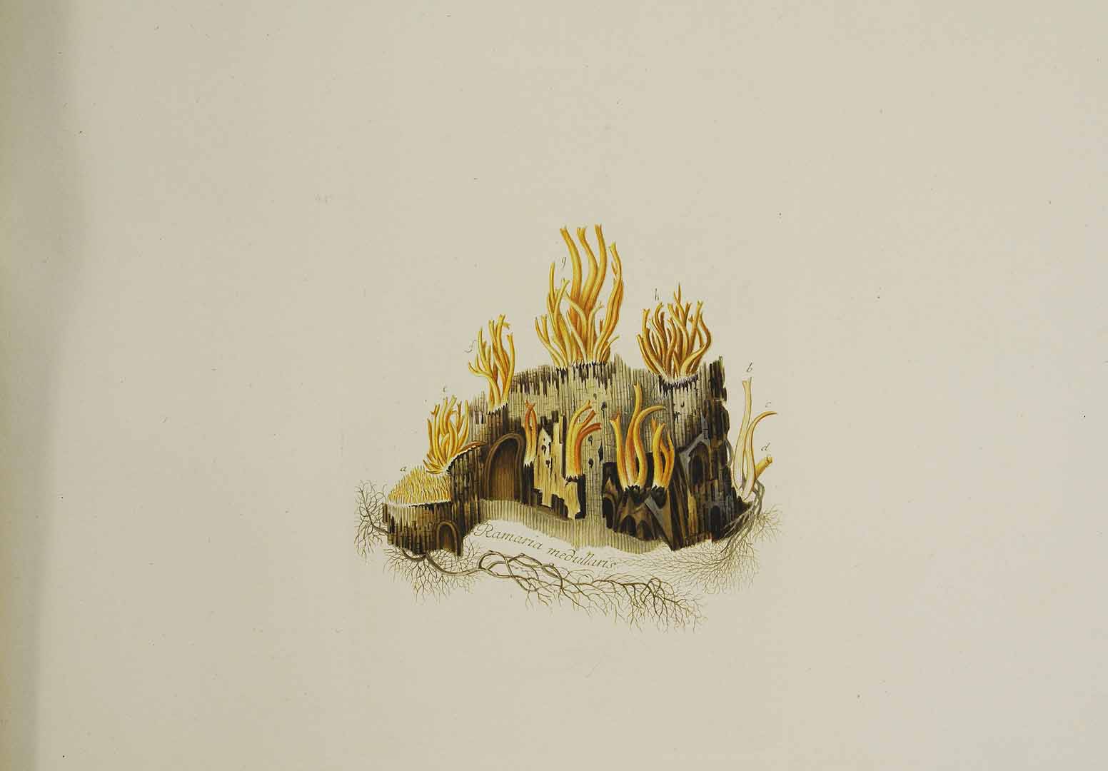 no HD illustration available (m5)