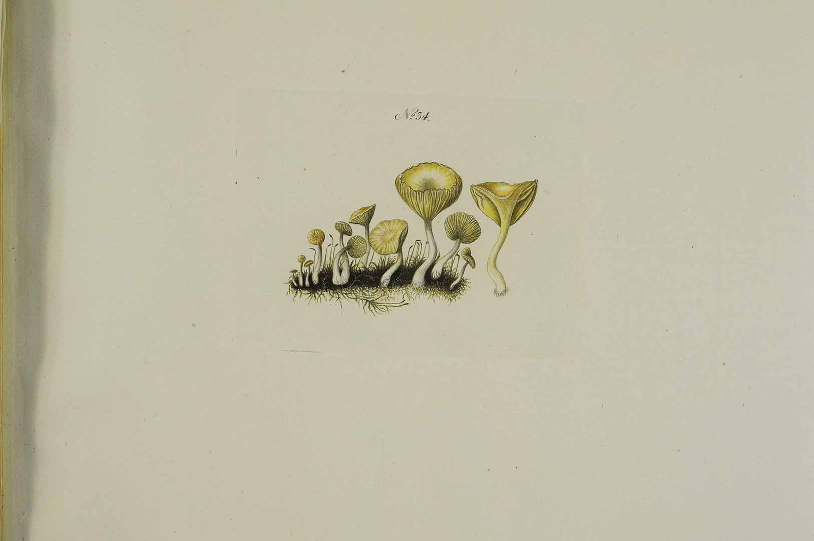 no HD illustration available (m5)
