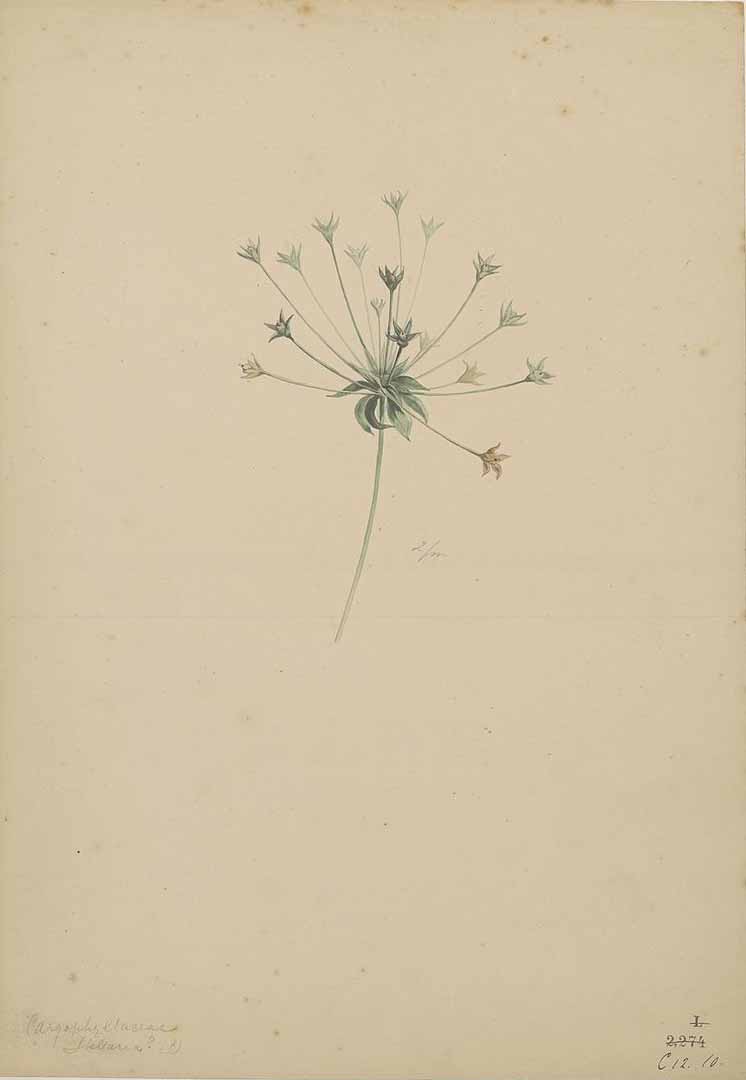 no HD illustration available (m5)