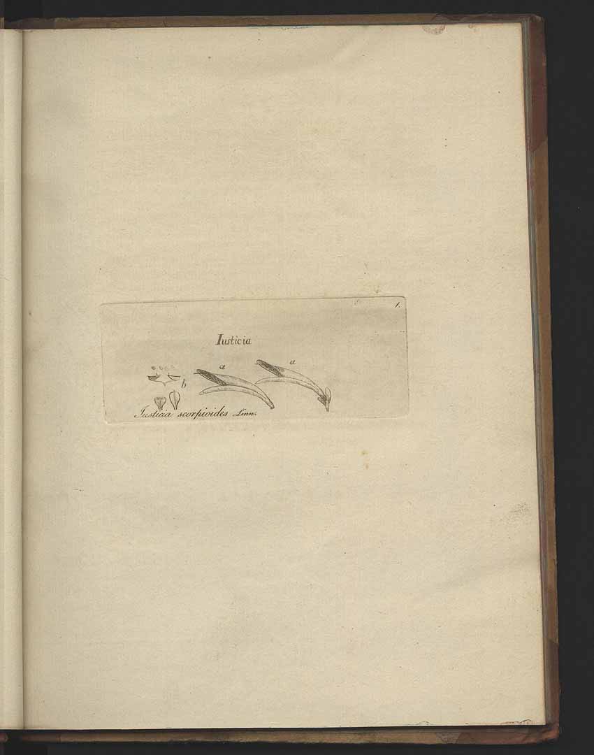 no HD illustration available (m4)