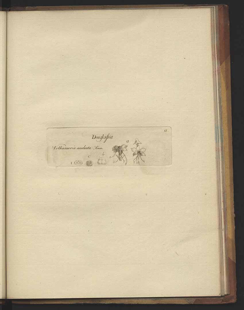 no HD illustration available (m4)