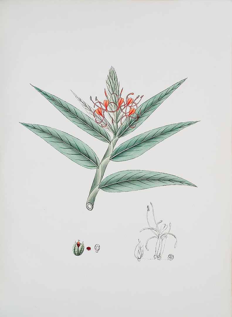 no HD illustration available (m5)