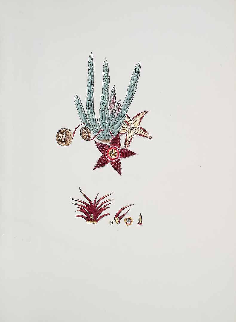 no HD illustration available (m5)