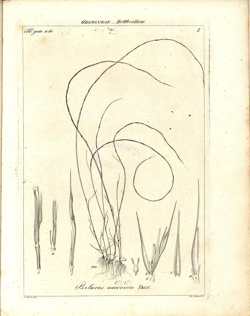 no HD illustration available (m4)