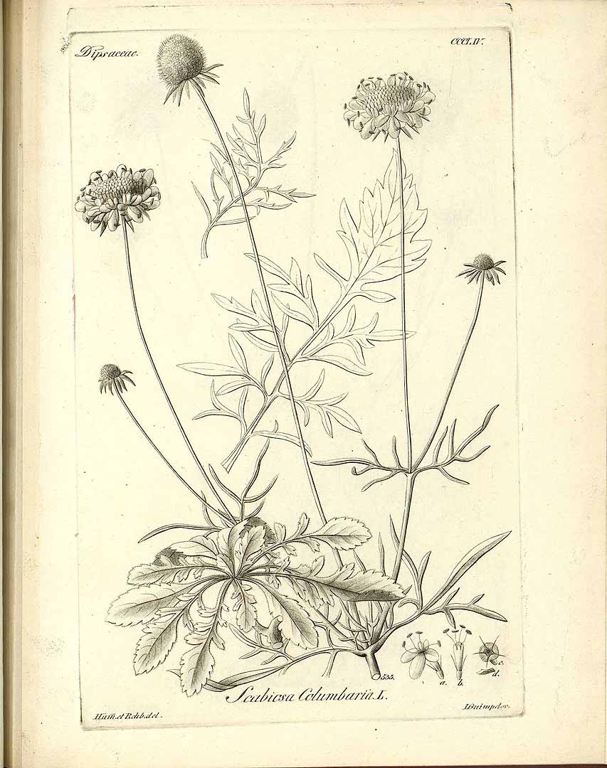 no HD illustration available (m4)