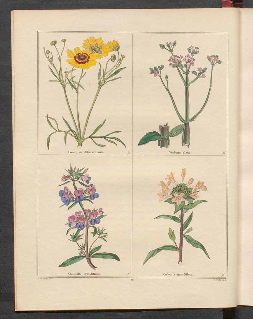 no HD illustration available (m4)