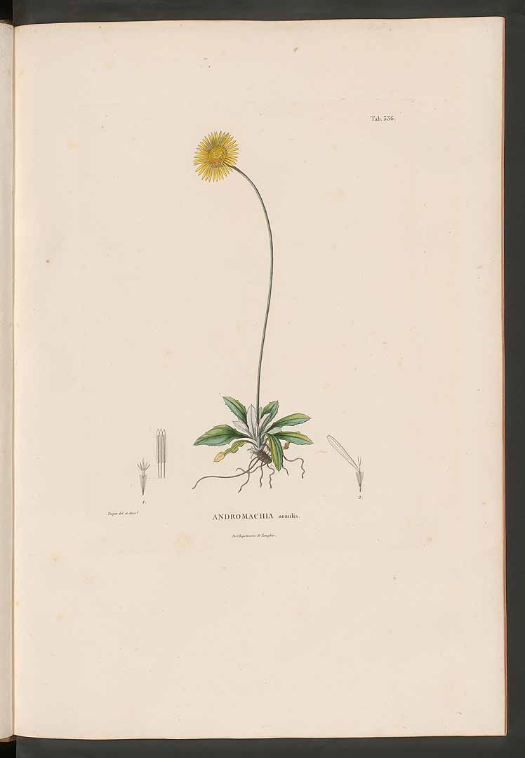no HD illustration available (m5)