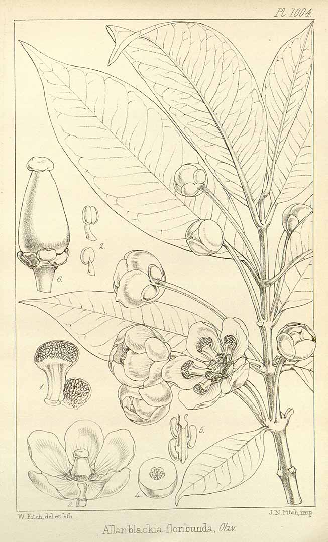no HD illustration available (m5)