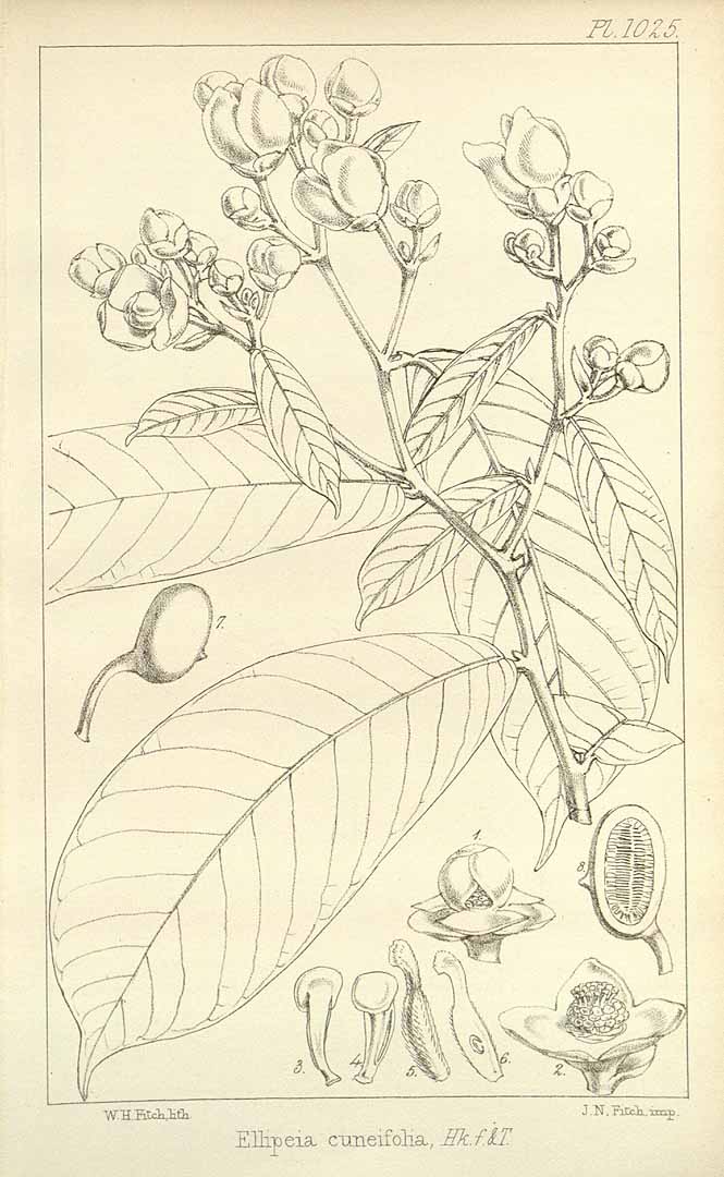 no HD illustration available (m5)