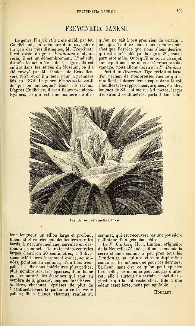 no HD illustration available (m5)