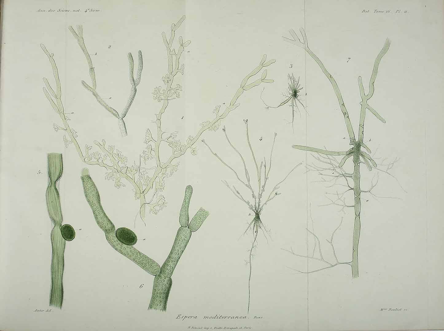 no HD illustration available (m5)