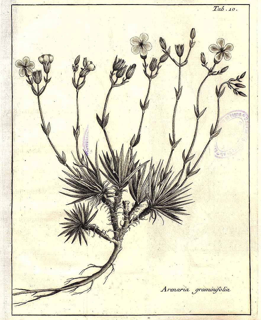 no HD illustration available (m4)