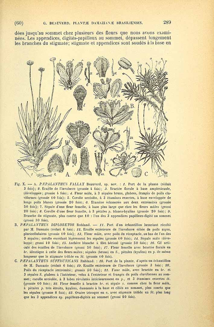no HD illustration available (m5)