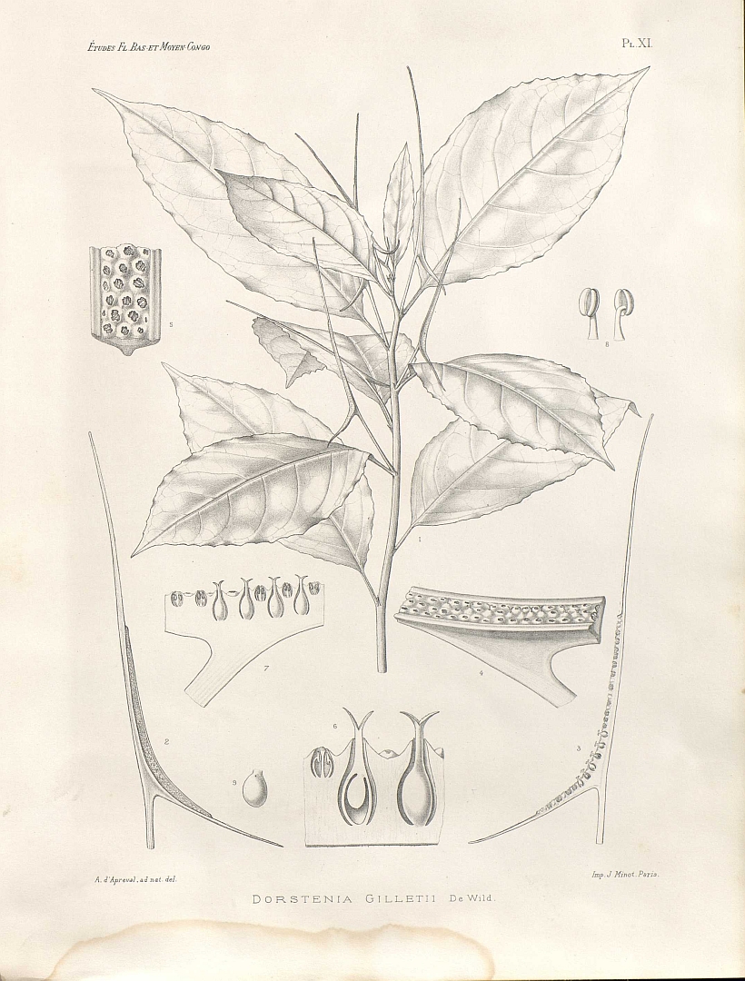 no HD illustration available (m5)