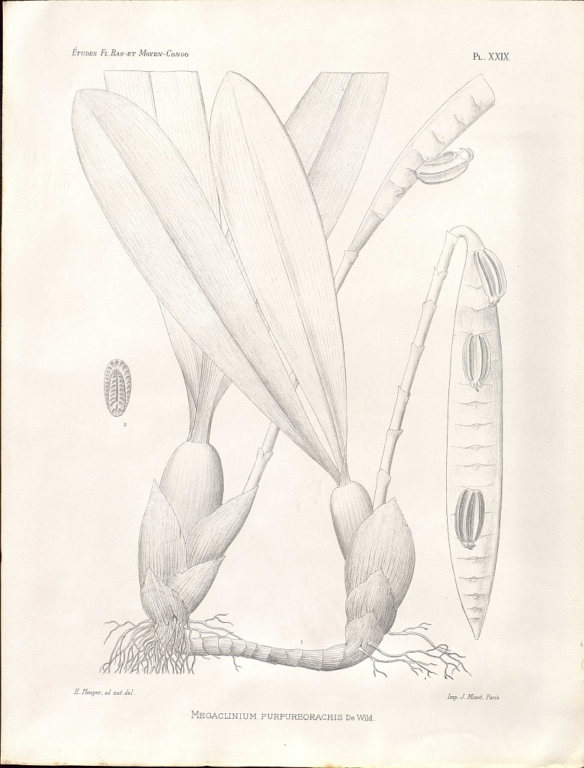 no HD illustration available (m5)
