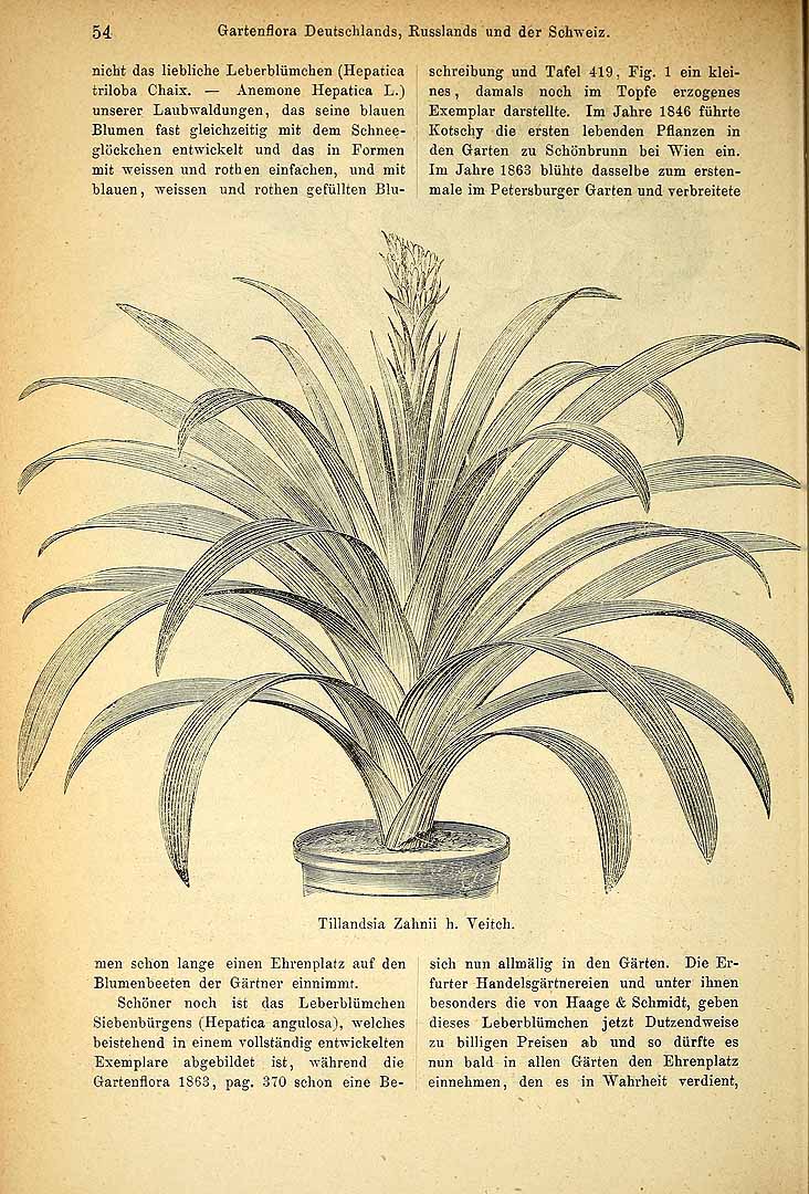 no HD illustration available (m5)