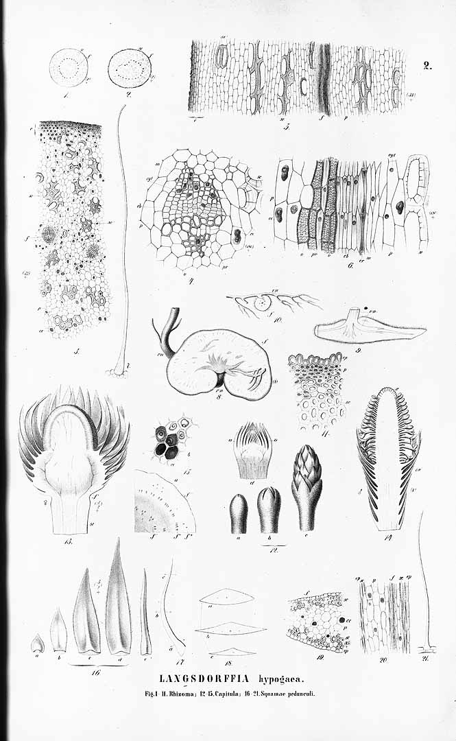 no HD illustration available (m5)