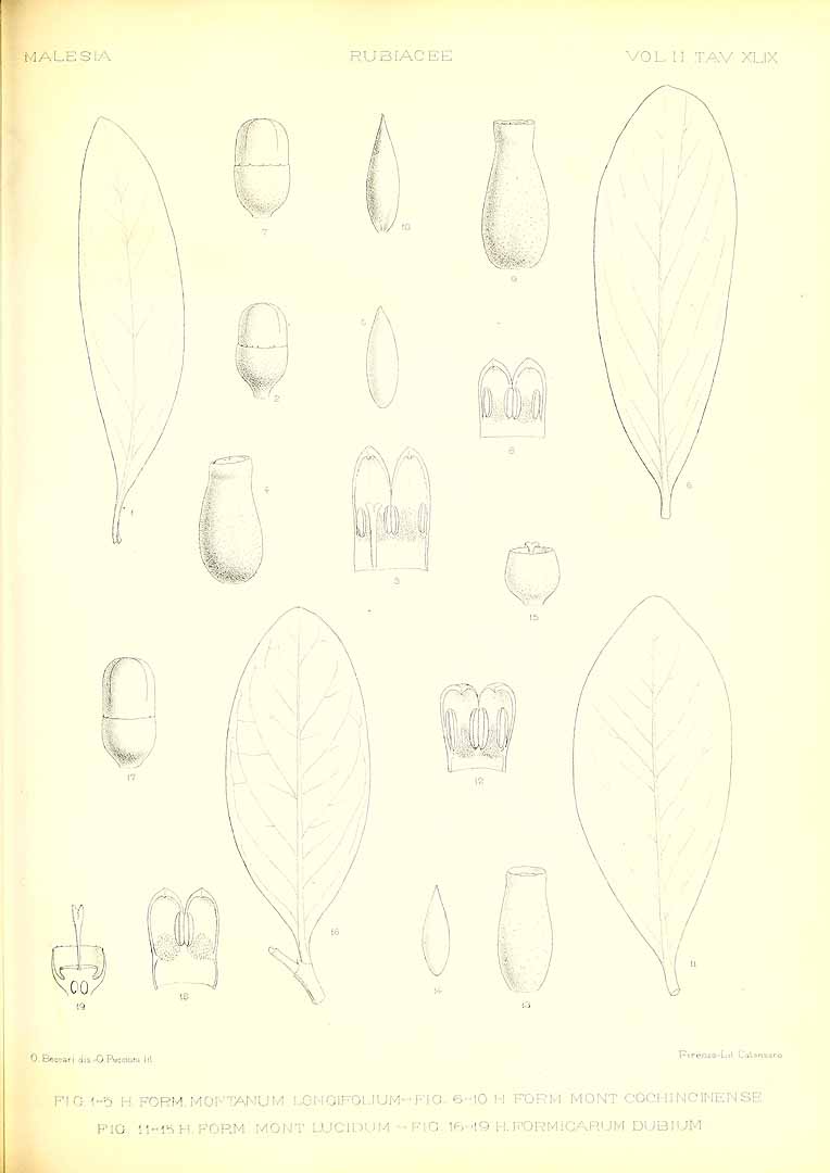 no HD illustration available (m5)
