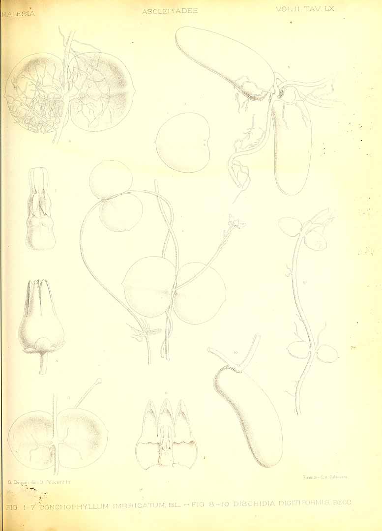 no HD illustration available (m5)