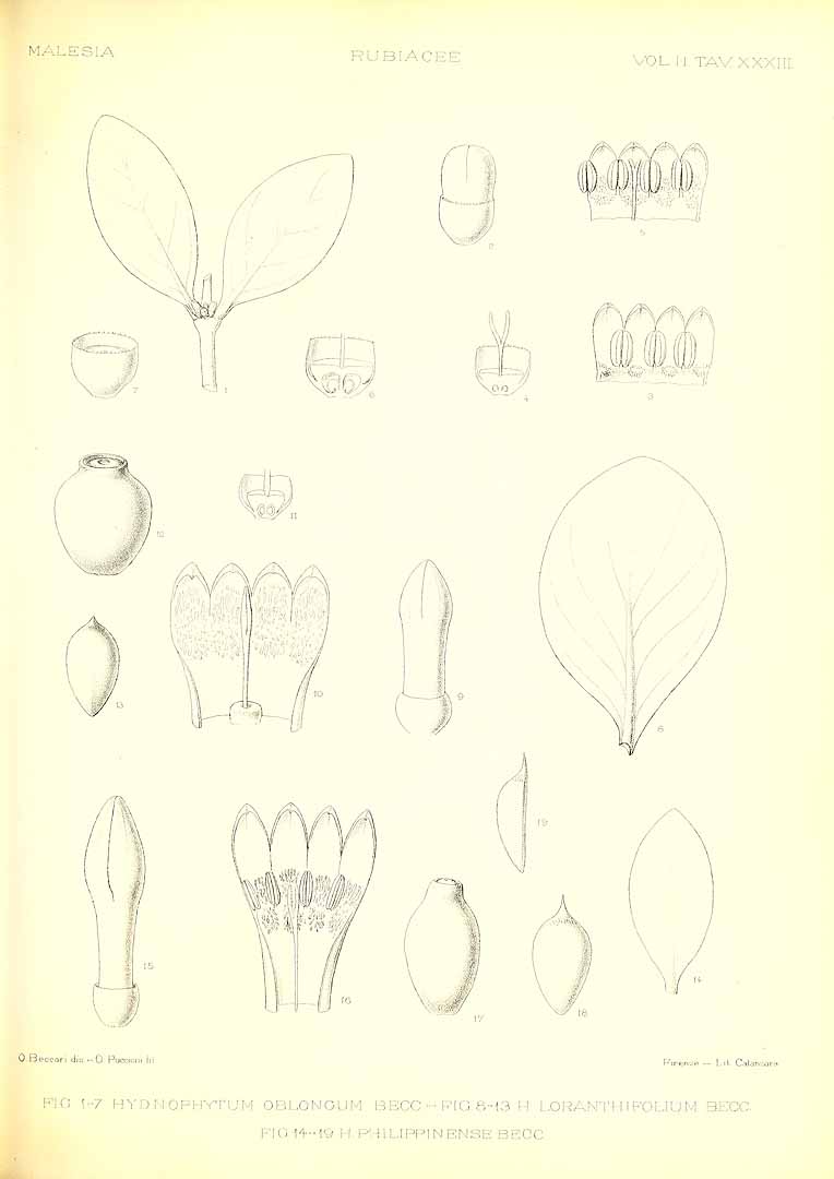 no HD illustration available (m5)