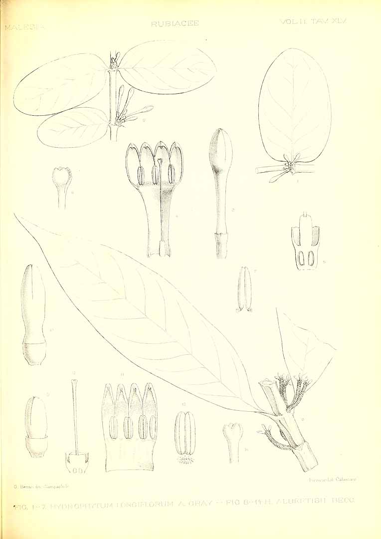 no HD illustration available (m5)