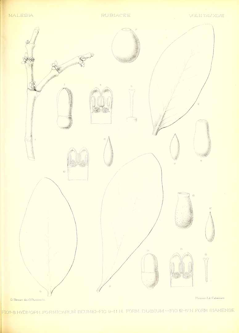no HD illustration available (m5)