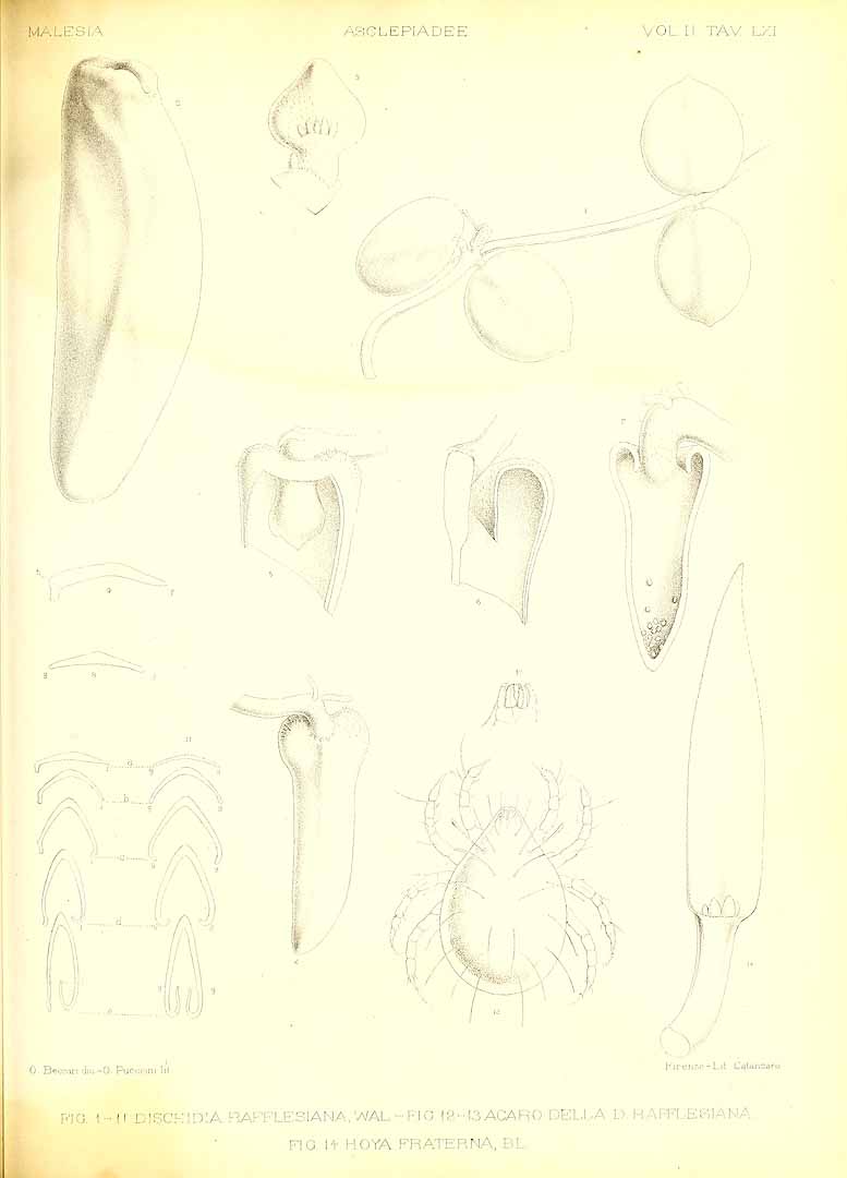 no HD illustration available (m5)