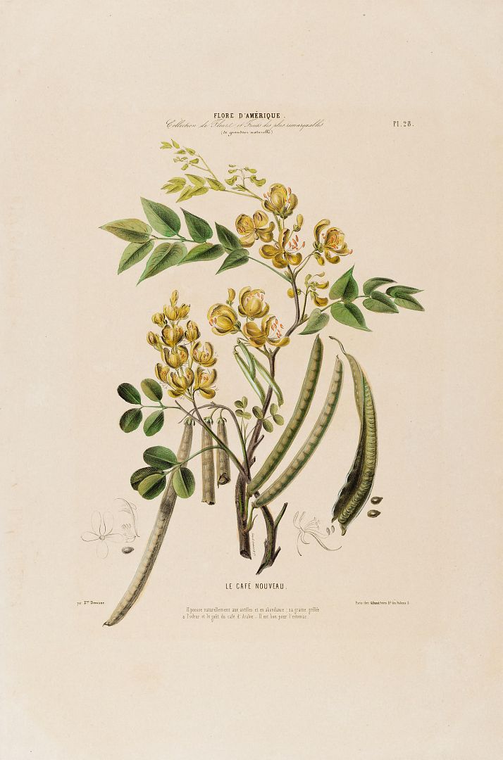 no HD illustration available (m5)