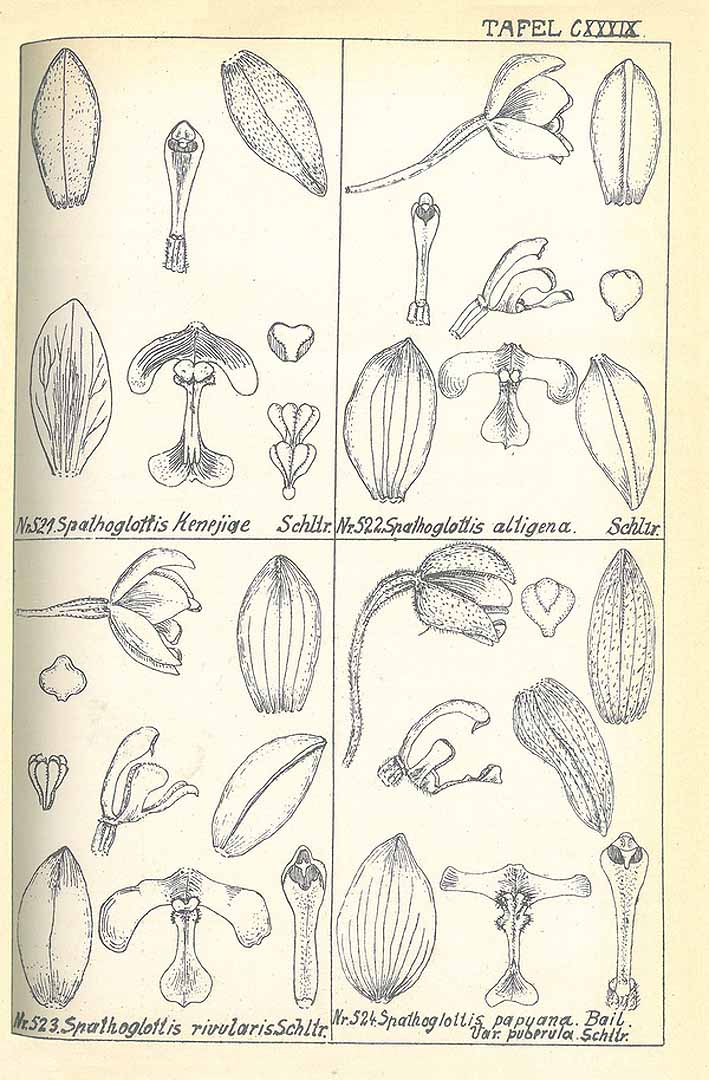no HD illustration available (m5)
